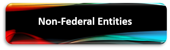 Non-Federal Entities