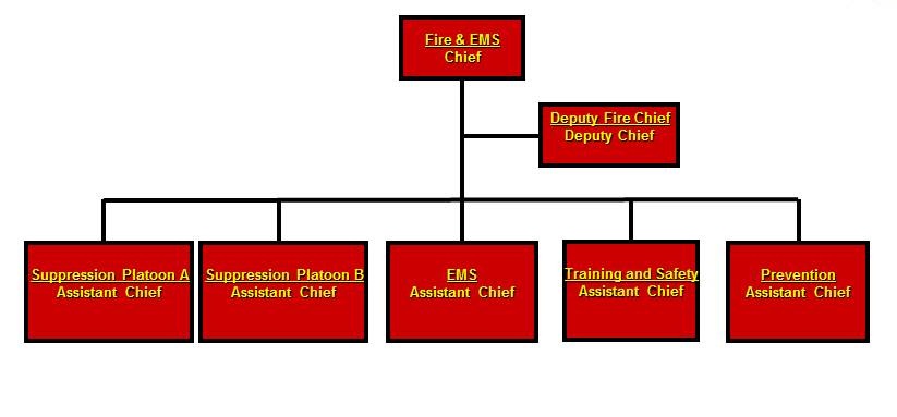 Fire Fighting Organization Chart